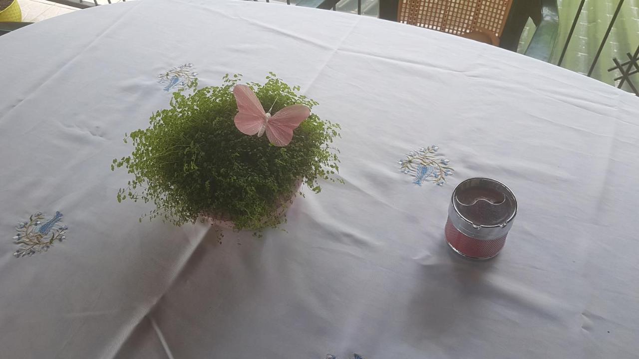 Apartmani Ksenija Krapinske Toplice Εξωτερικό φωτογραφία