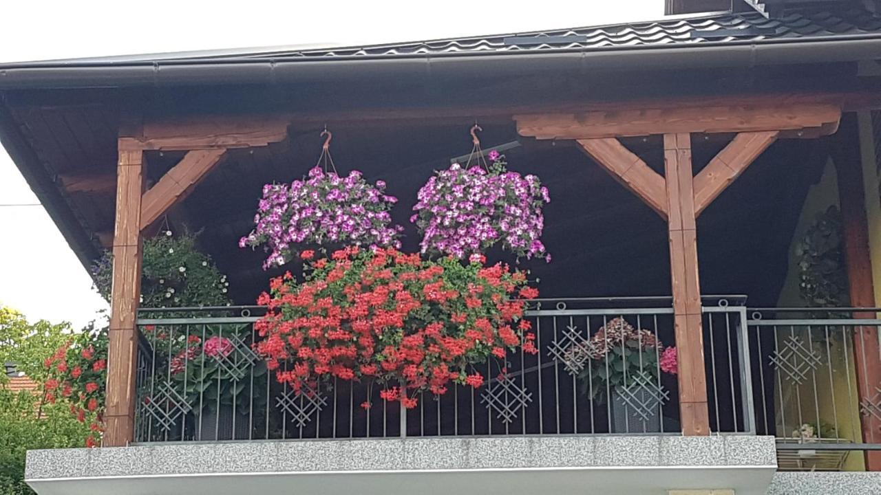 Apartmani Ksenija Krapinske Toplice Εξωτερικό φωτογραφία