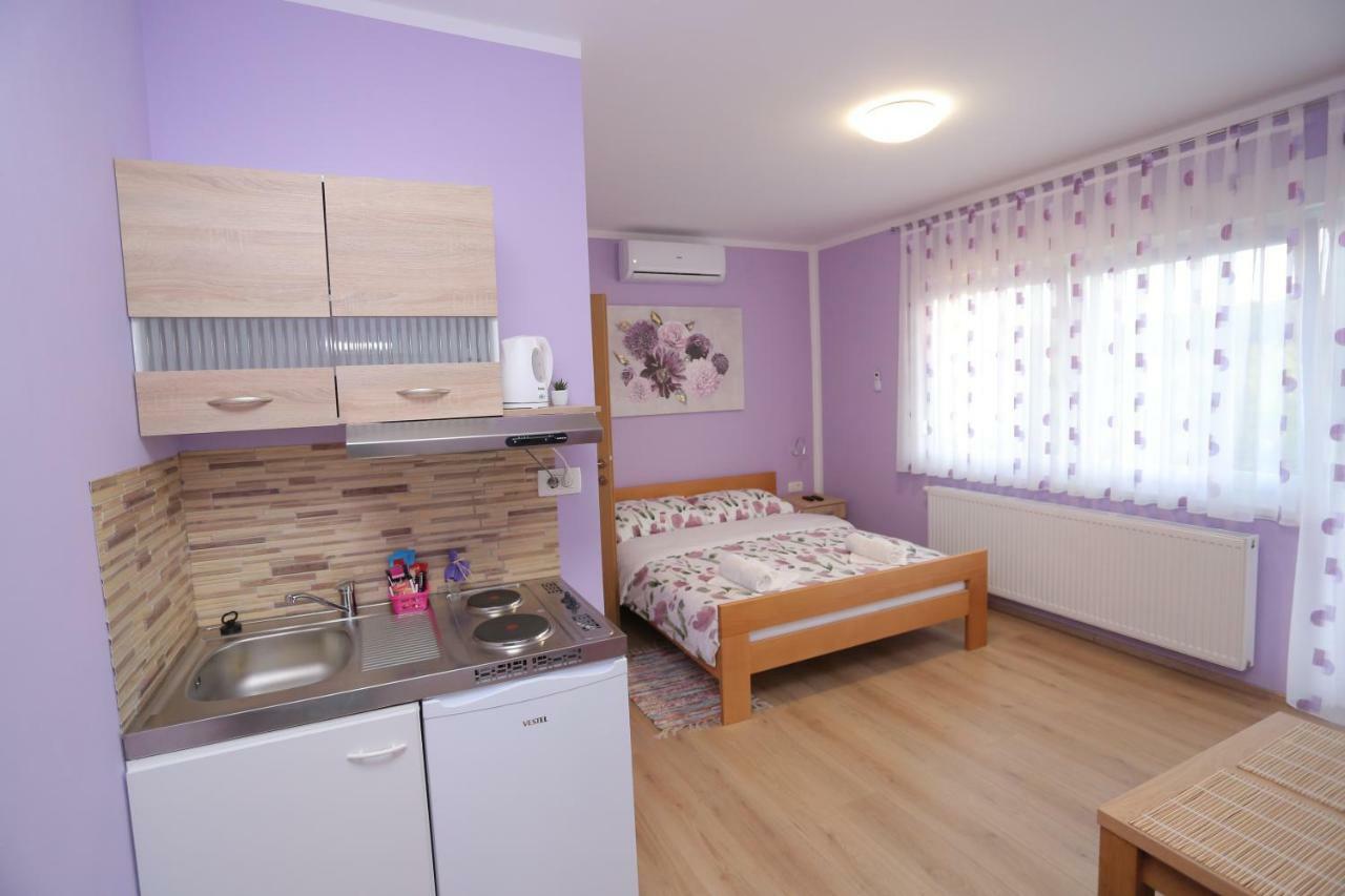 Apartmani Ksenija Krapinske Toplice Εξωτερικό φωτογραφία