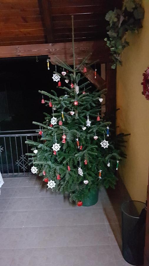 Apartmani Ksenija Krapinske Toplice Εξωτερικό φωτογραφία